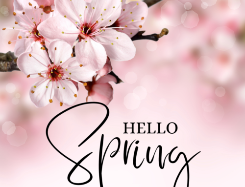 Benvenuta Primavera – speciale notti gratuite